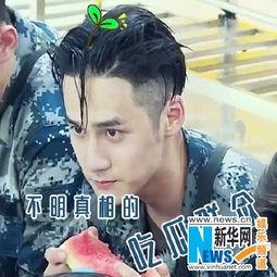 娱乐吃瓜头像男,揭秘吃瓜群众心中的帅气男生